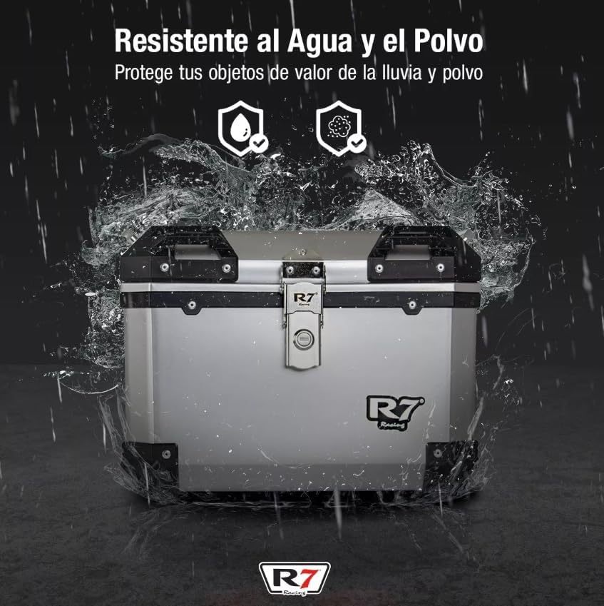 BAUL TRASERO MOTOCICLETA  45 LTS PLATA
