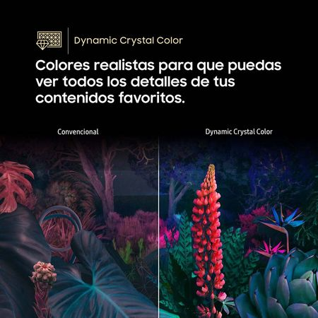 Rebajas espectaculares - ¡Aprovecha la oportunidad UN75DU8000GXPE