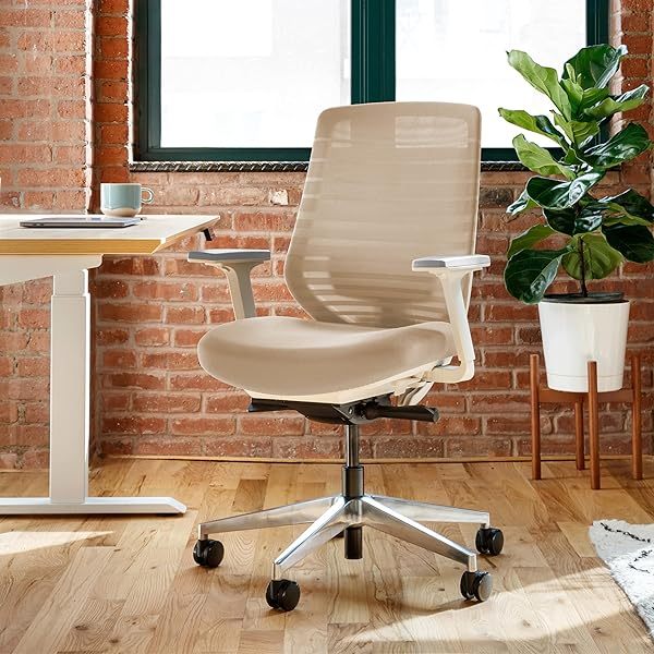 Silla ergonómica: una silla de escritorio versátil con soporte lumbar ajustable, respaldo de malla transpirable y ruedas suaves