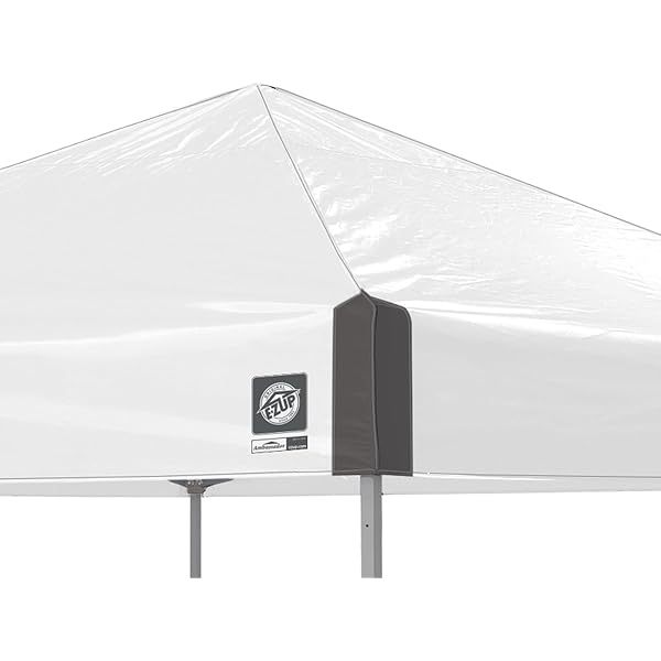 Toldo de Refugio instantáneo, 10 x 10 pies, Bolsa de Rodillo y Juego de 4 Pinchos, Pizarra Blanca Blanco pizarra Toldo de refugio
