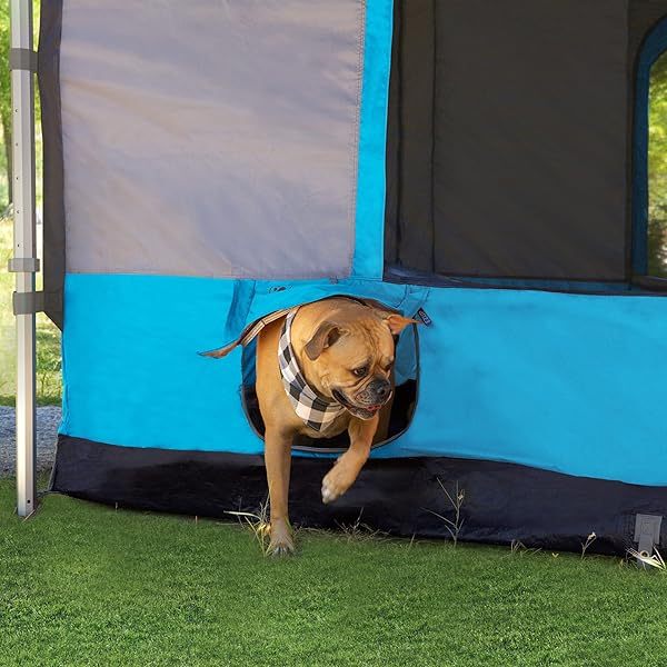 6.4 popup Outdoor Camping Tent, Royal Blue Azul Real Tienda de campaña de cabina