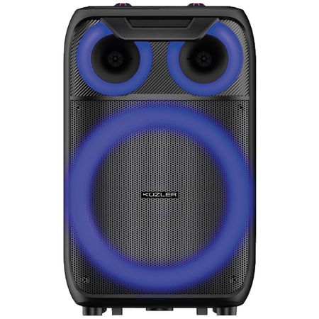 Parlante  Karaoke LED ERWIN-101