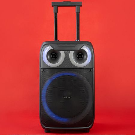 Parlante  Karaoke LED ERWIN-101