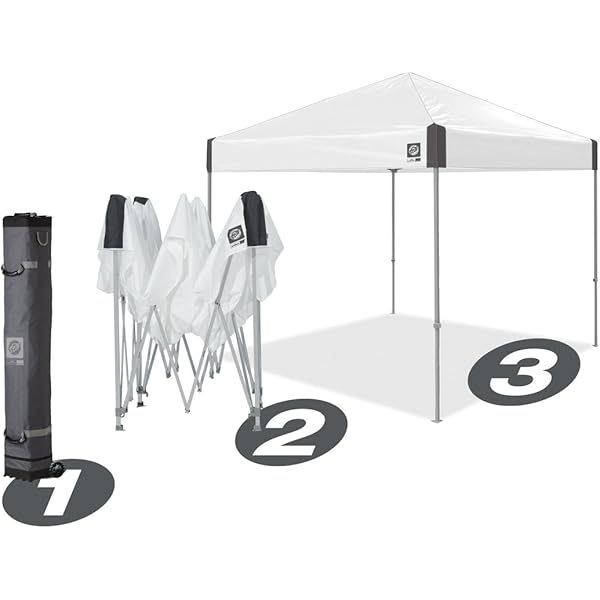 Toldo de Refugio instantáneo, 10 x 10 pies, Bolsa de Rodillo y Juego de 4 Pinchos, Pizarra Blanca Blanco pizarra Toldo de refugio