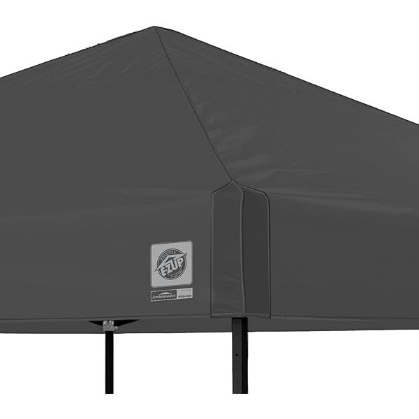 Toldo de Refugio instantáneo, 10 x 10 pies, Bolsa de Rodillo y Juego de 4 Pinchos, Pizarra Blanca Blanco pizarra Toldo de refugio