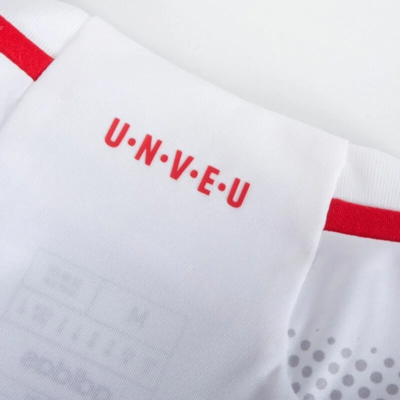 Union Berlin Away Shirt 2023-2024 Fan version Size：S-2XL