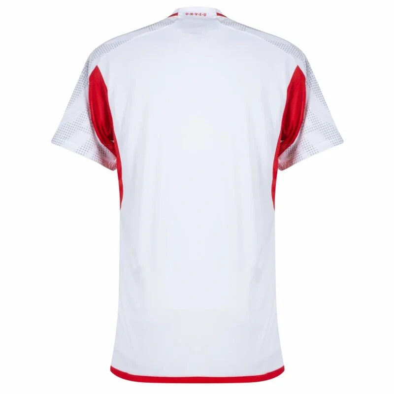 Union Berlin Away Shirt 2023-2024 Fan version Size：S-2XL