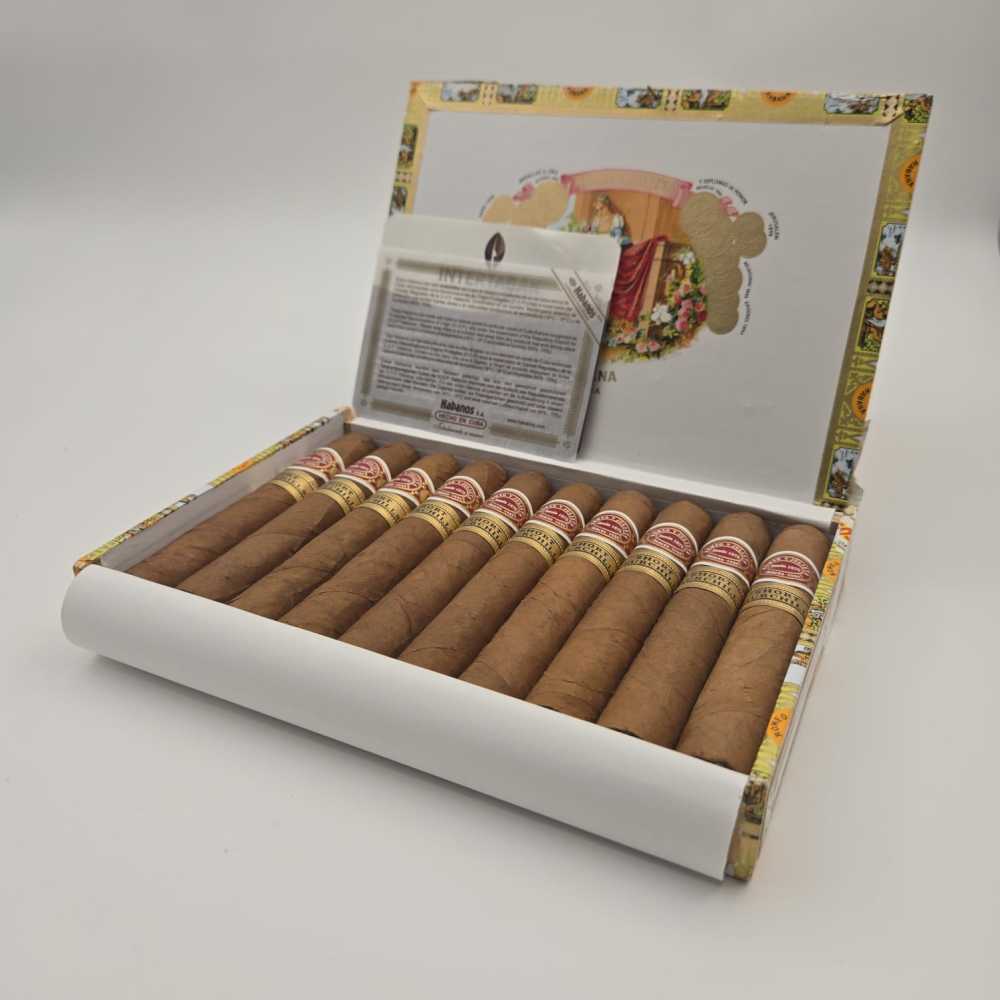 Romeo Short Churchill [10]