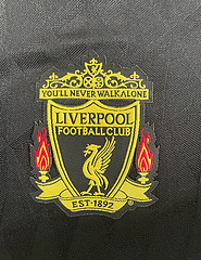 2010-11 Liverpool