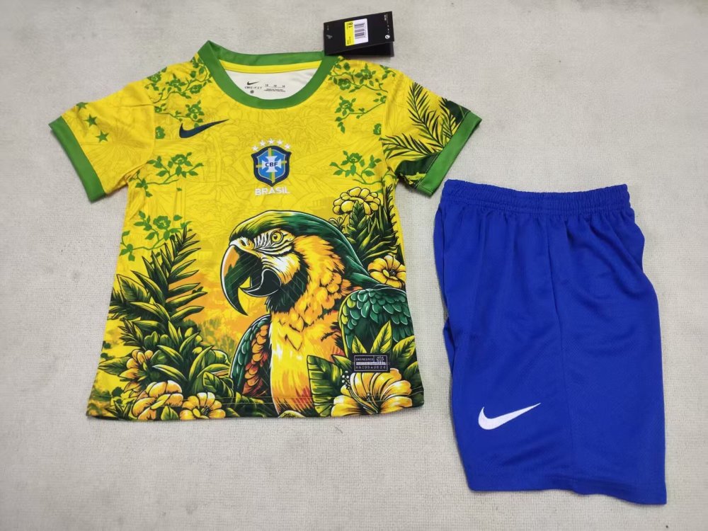 26-27 Brazil
