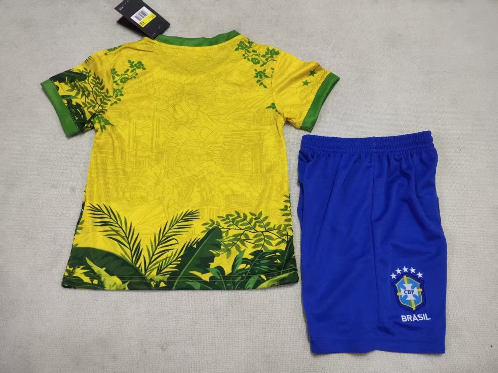 26-27 Brazil
