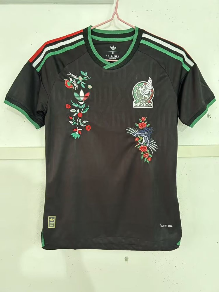 26-27  Mexico