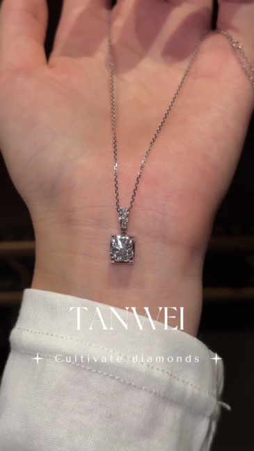 3.9ct 14k White Gold Round Cut Lab Diamond Halo Pendant Necklace