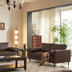 Mid-Century Modern Living Room Furniture Suite,Mid-Century Modern Living Room Furniture Suite