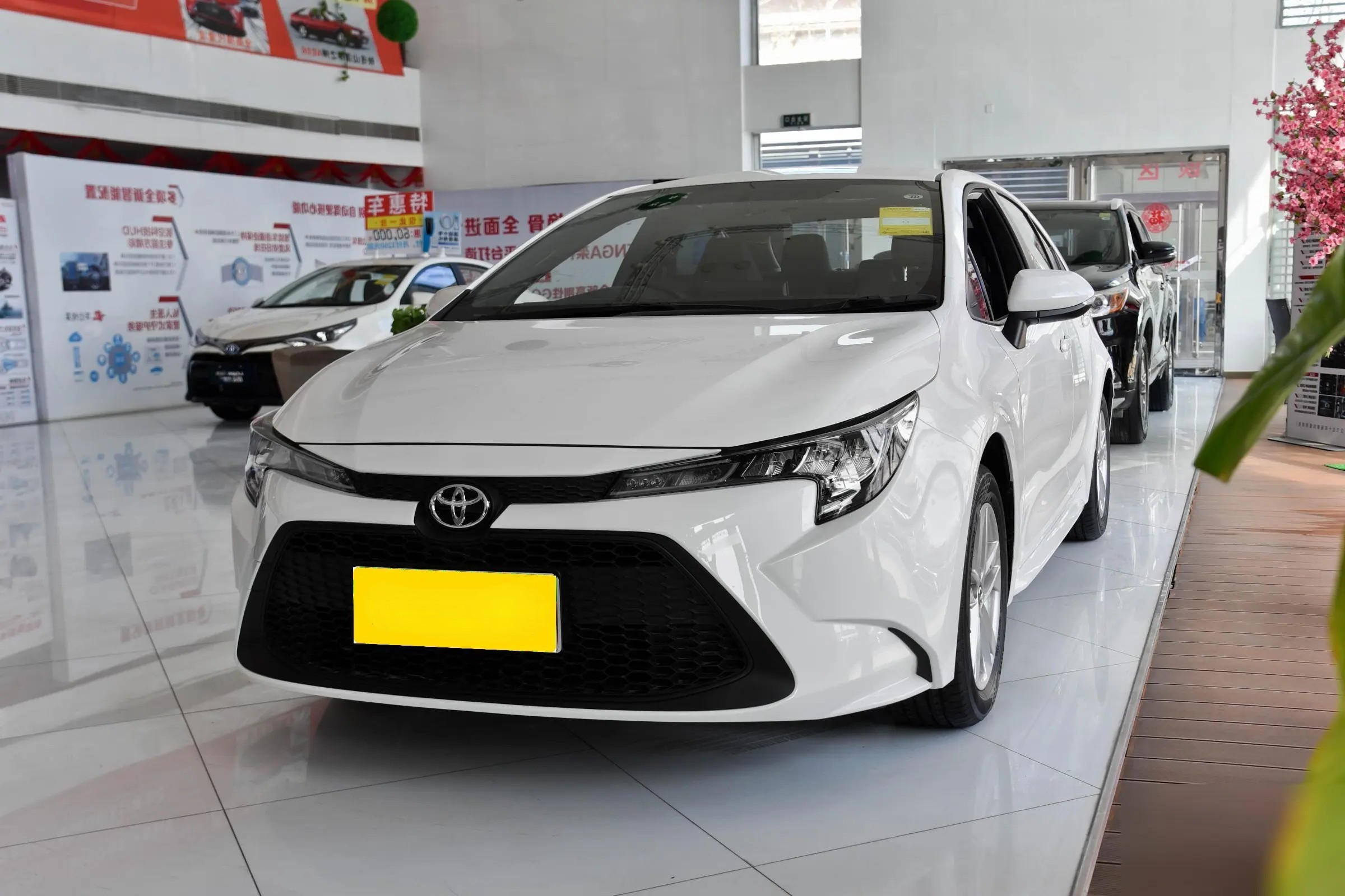 2021 Corolla Levin TNGA 1.5L CVT Progressive Edition