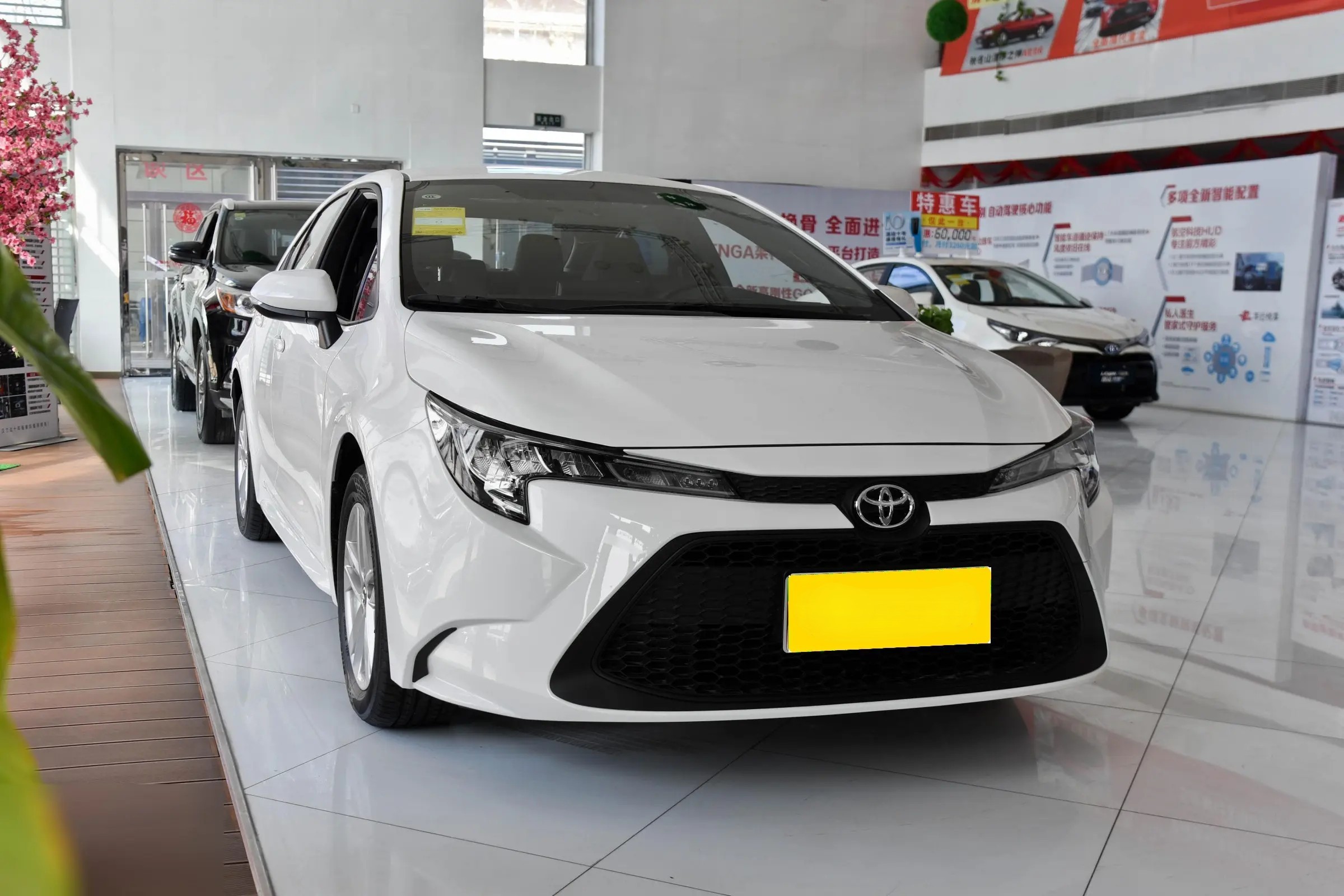 2021 Corolla Levin TNGA 1.5L CVT Progressive Edition