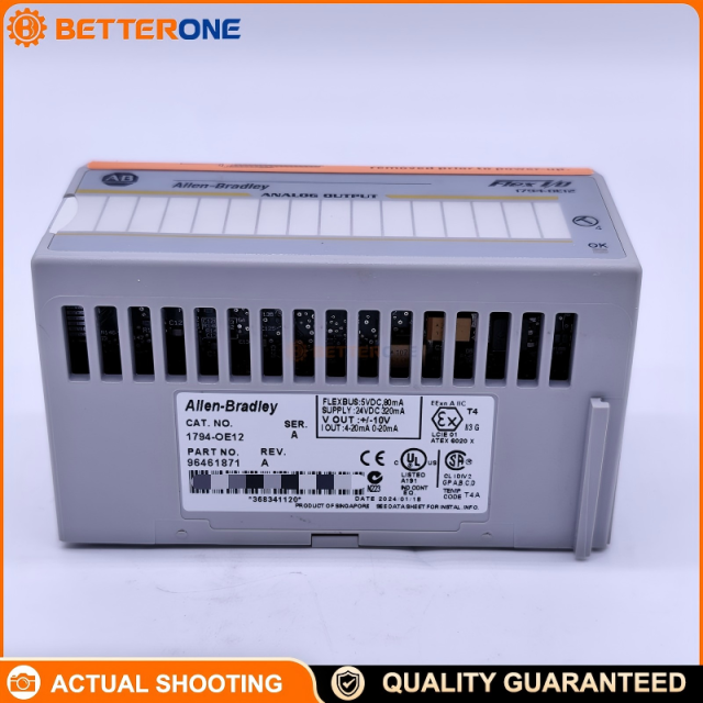 Allen-Bradley 1794-OE12 FLEX I/O 12-Channel Analog Output Module, Selectable 0–20mA / 4–20mA / ±10V, Single-Ended Non-Isolated, 24VDC (10.0–31.2VDC), FlexBus 5V 80mA