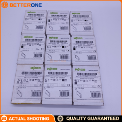 WAGO 750-513 2-Channel Relay Output Module, 2×NO (Make Contact), Potential-Free, 250VAC 2A / 30VDC 2A, DIN-Rail, IP20, 0–55°C