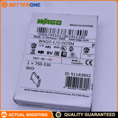 WAGO 750-530 8-Channel Digital Output Module, 24VDC, 0.5A/Channel, High-Side Switching, Short-Circuit Protected, 2 kHz, 500 V Isolation, DIN-Rail, IP20