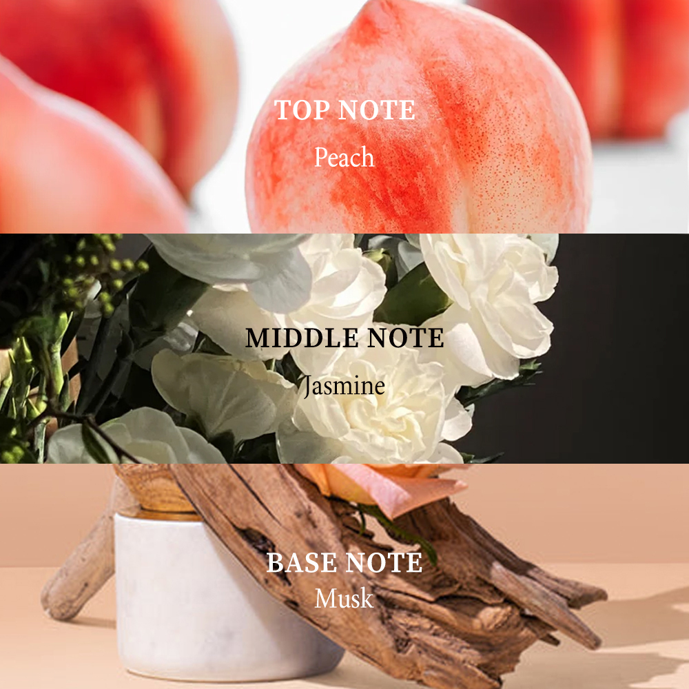 KOEC Perfume Roll on Oil (Sweet Peach) Long-Lasting Fragrance Perfume Spray Scent Luxury Perfume Gift Body Mist