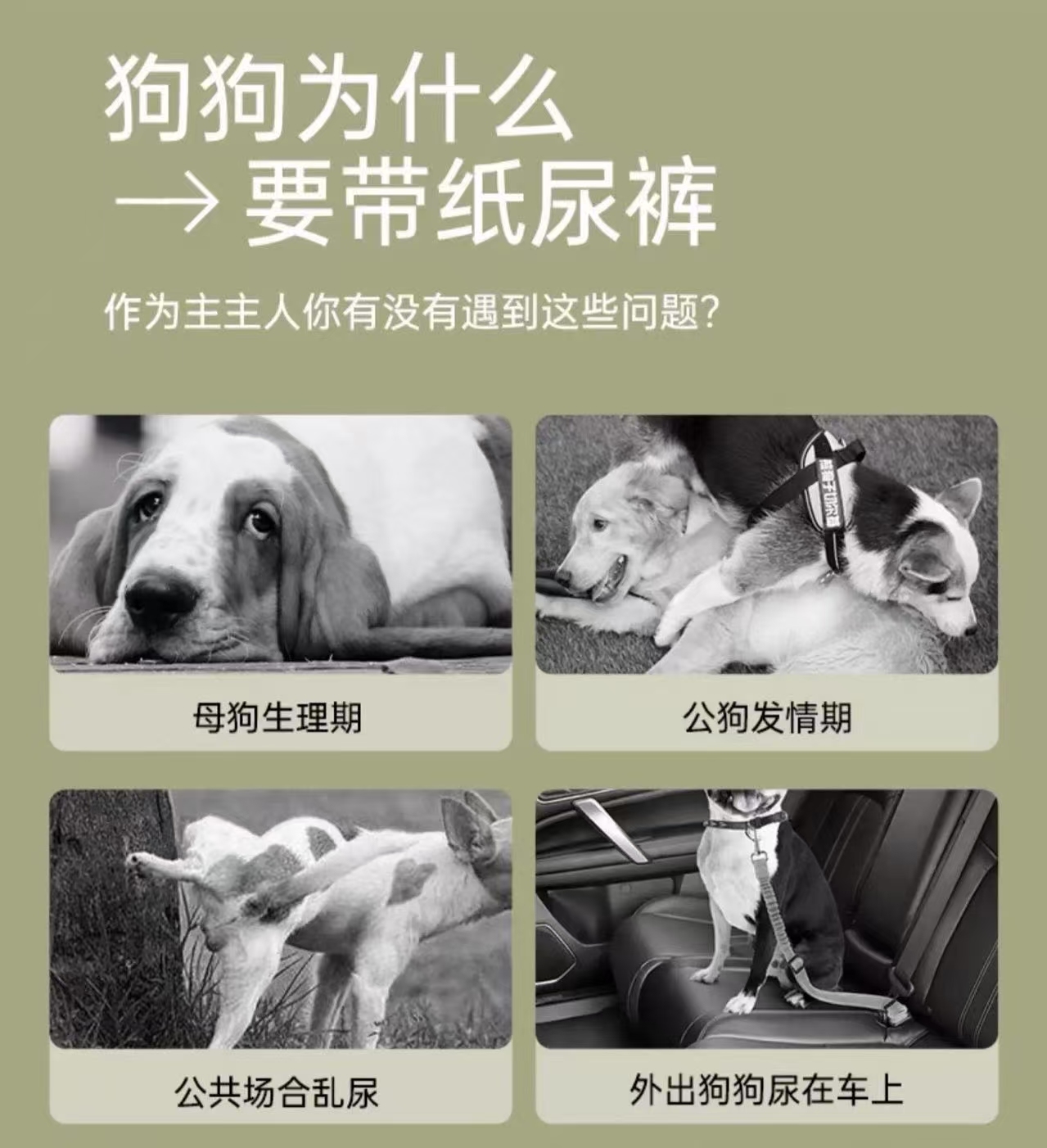 Pet breathable diapers, suitable for both male and female