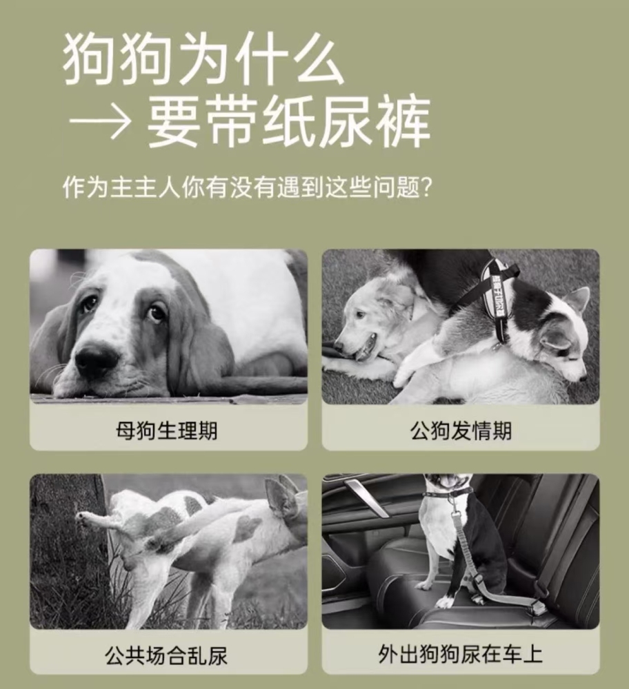 Pet breathable diapers, suitable for both male and female