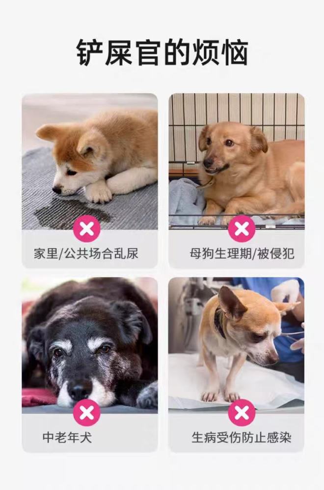 Pet breathable diapers, suitable for both male and female