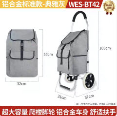 Aluminum alloy standard model