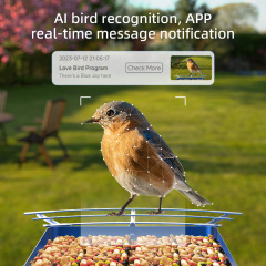 Metal Bird Feeder