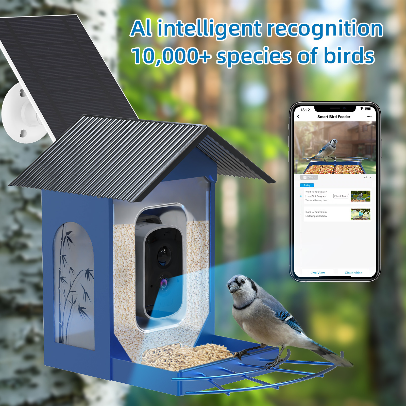 Metal Bird Feeder