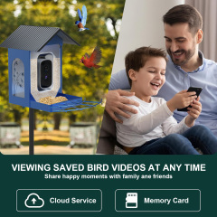 Metal Bird Feeder