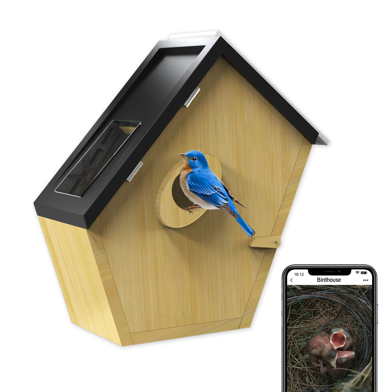 Wooden Bird House with 5MP Camera