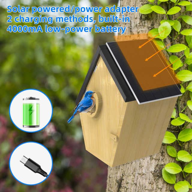 Wooden Bird House with 5MP Camera