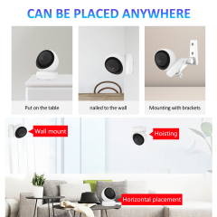Indoor WiFi PTZ Camera