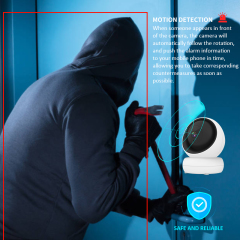 Indoor WiFi PTZ Camera