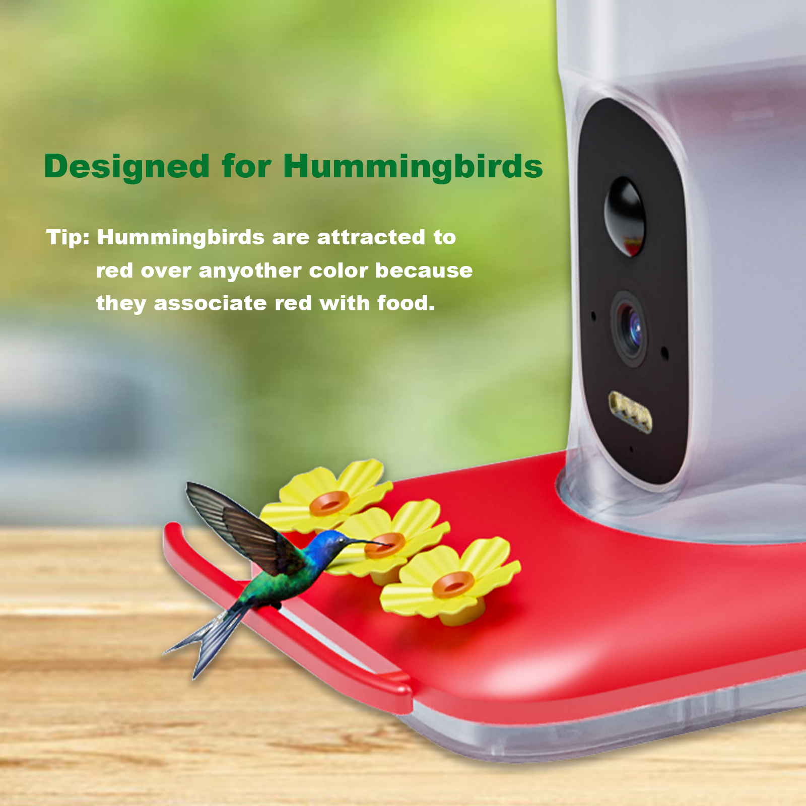 Hummingbird Water Dispenser