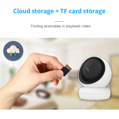 Indoor WiFi PTZ Camera