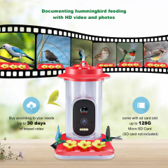 Hummingbird Water Dispenser