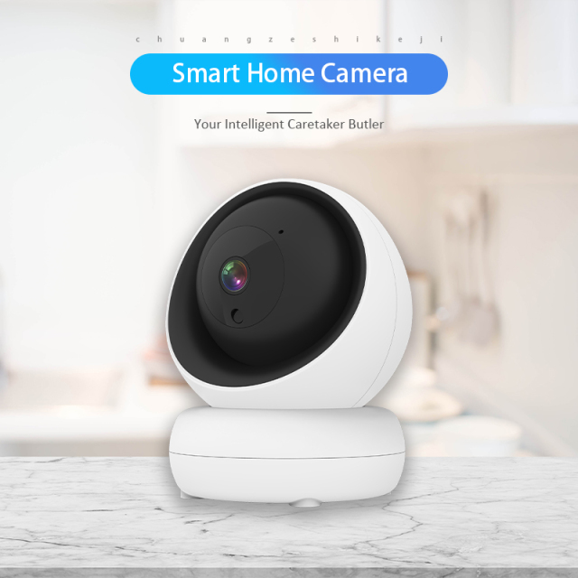 Indoor WiFi PTZ Camera