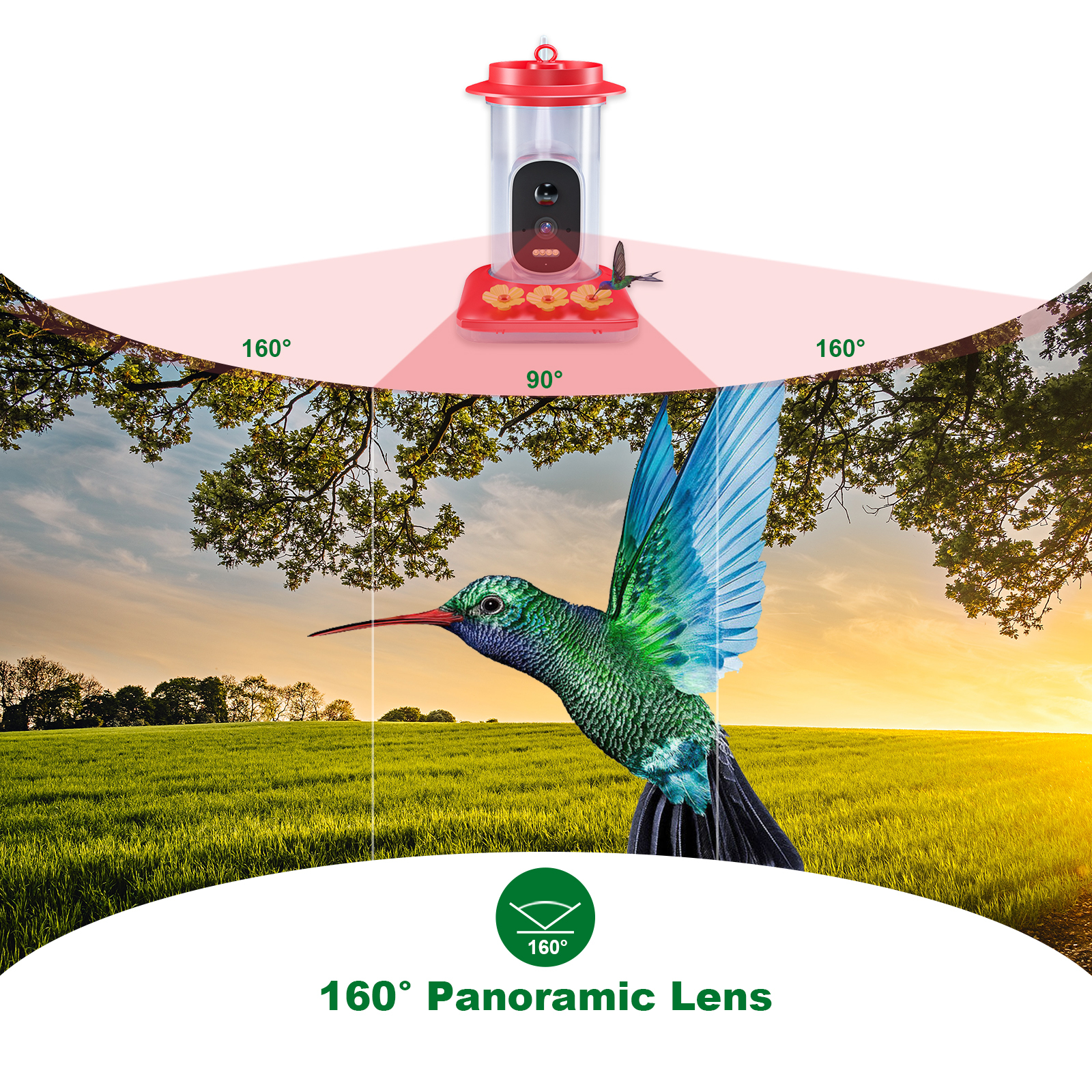 Hummingbird Water Dispenser
