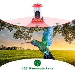 Hummingbird Water Dispenser