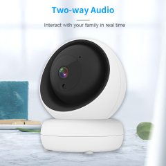Indoor WiFi PTZ Camera