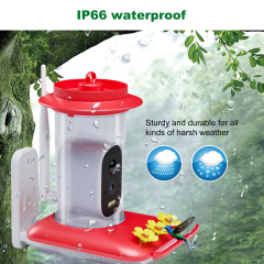 Hummingbird Water Dispenser
