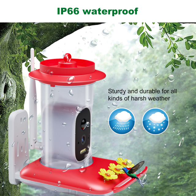 Hummingbird Water Dispenser