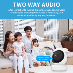 Indoor WiFi PTZ Camera