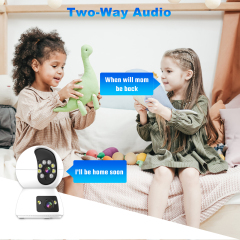 Indoor Dual-lens Camera