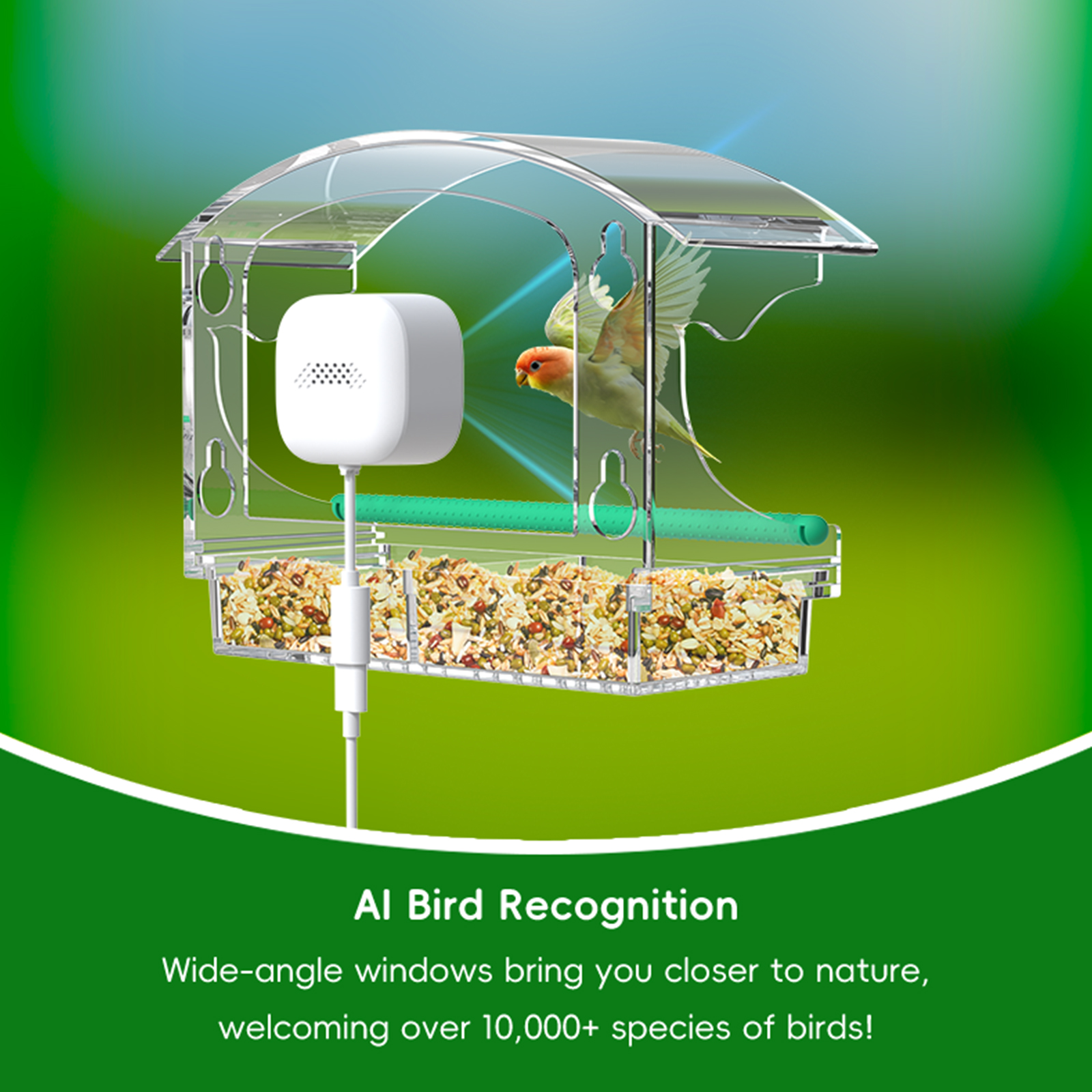 The Latest 2026 Acrylic Bird Feeder With Built-In Wifi Camera, Window