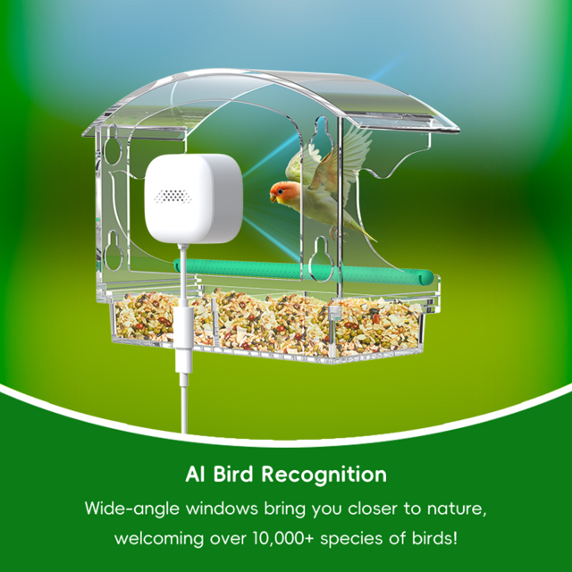 Window Smart Feeder