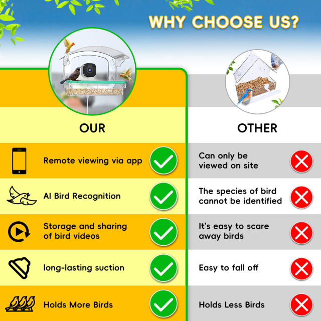 Window Smart Feeder