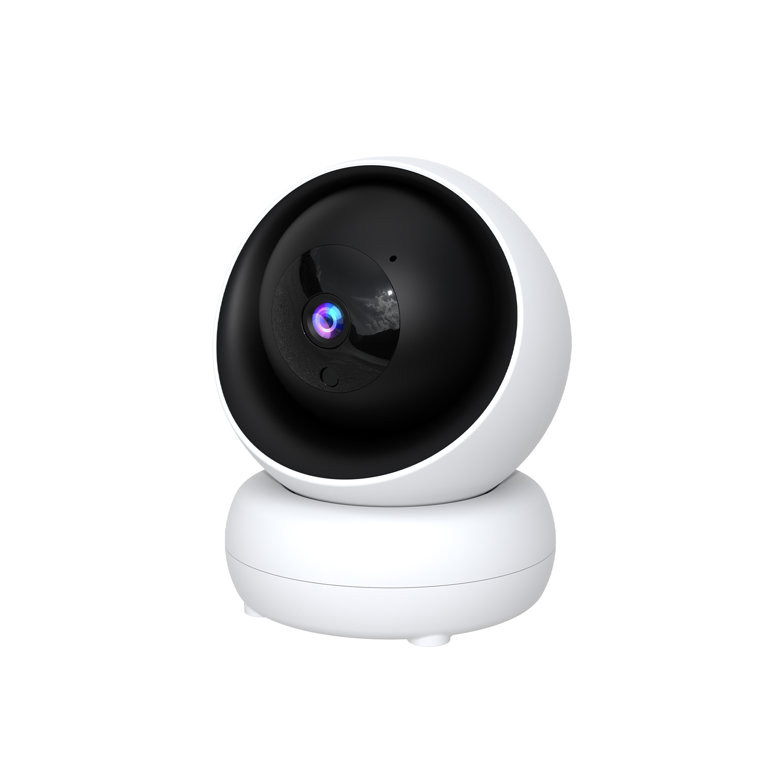 Indoor WiFi PTZ Camera